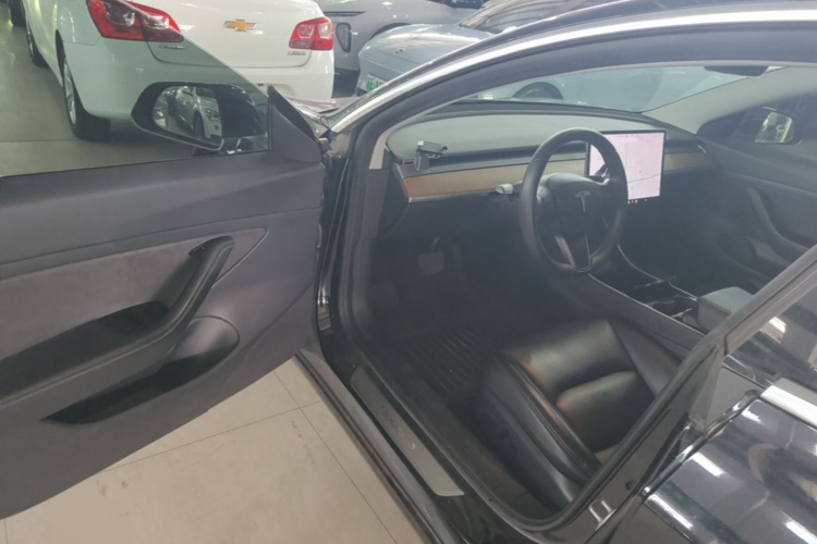 Tesla Model 3 2020 car image #16
