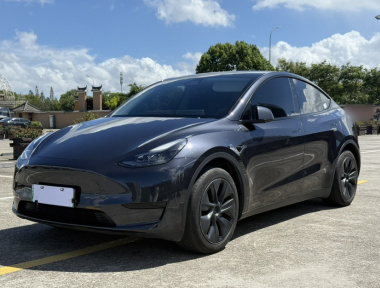 Tesla Model Y 2024 Tesla Model Y 2024 car image