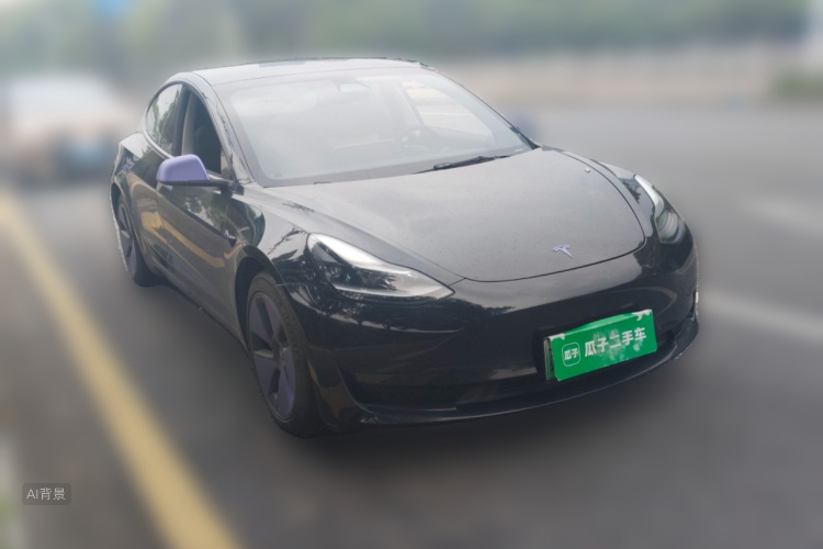 Tesla Model 3 2021 #4 Tesla Model 3 2021 car image #4