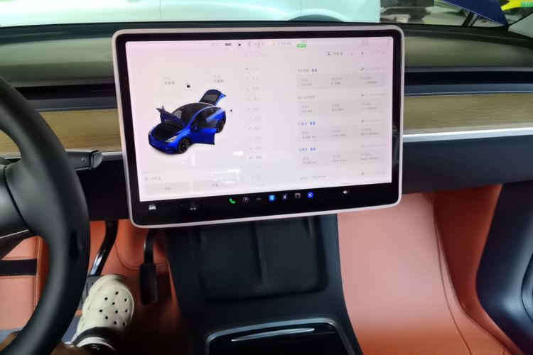 Tesla Model Y 2021 car image #17