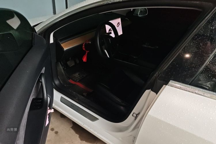 Tesla Model 3 2020 #18 Tesla Model 3 2020 car image #18