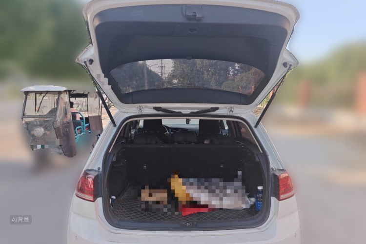 Volkswagen Golf 2019 #21 Volkswagen Golf 2019 car image #21