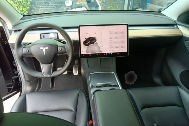Tesla Model Y 2022 #10 Tesla Model Y 2022 car image #10