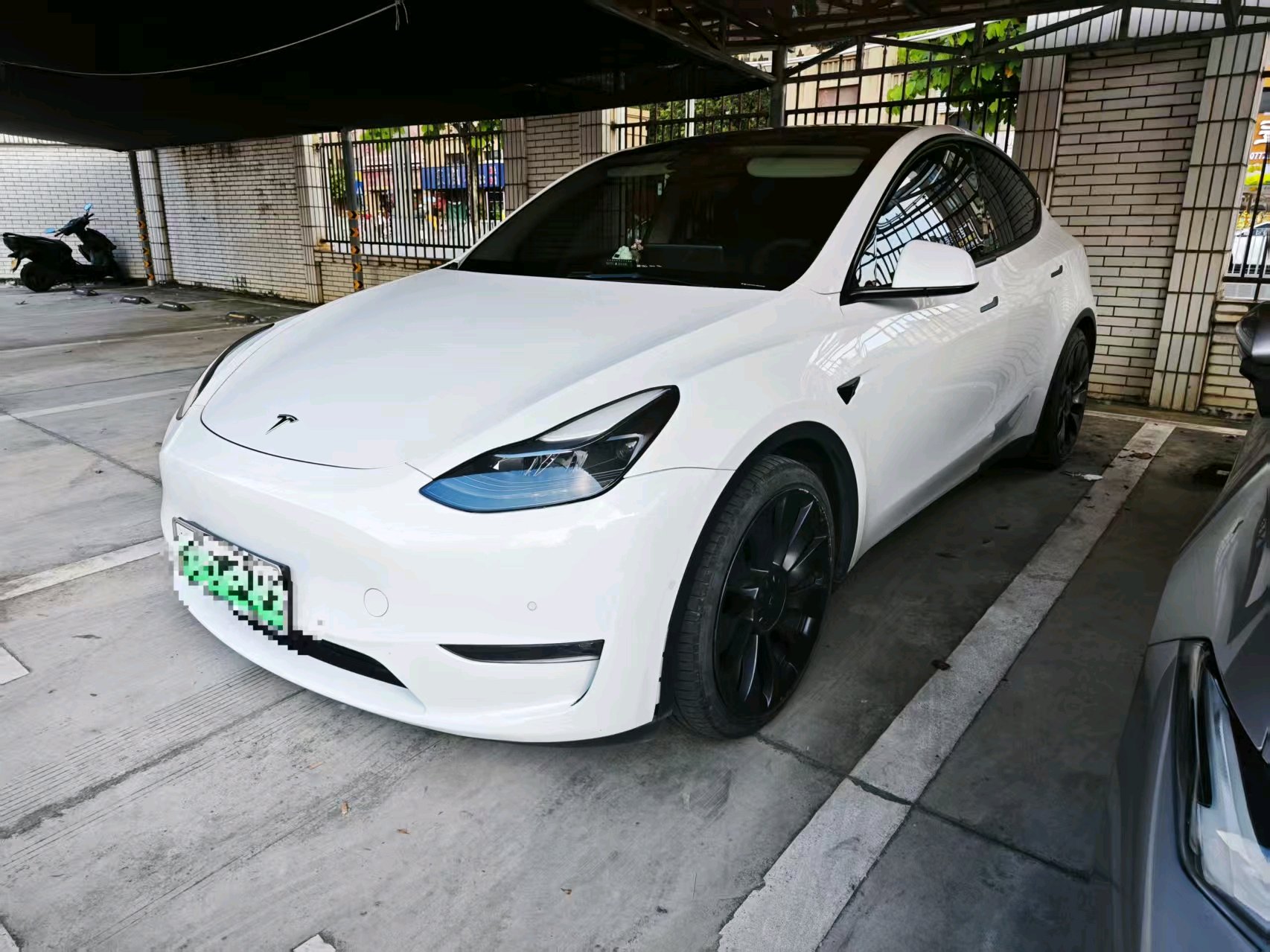 Tesla Model Y 2022 car image 