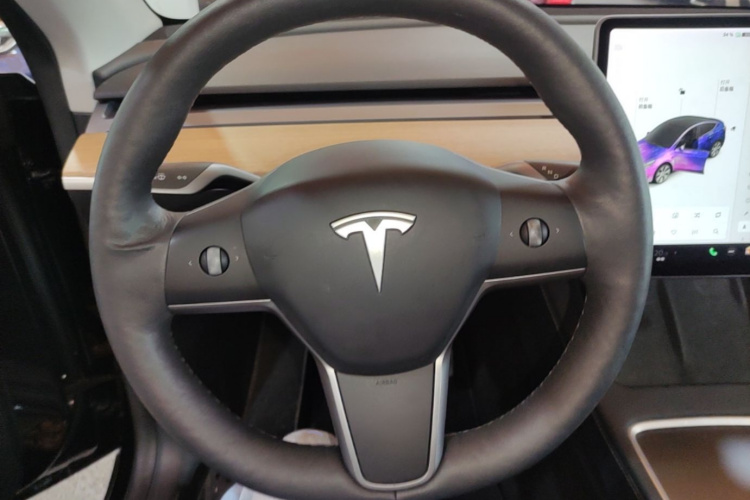 Tesla Model Y 2021 car image #11