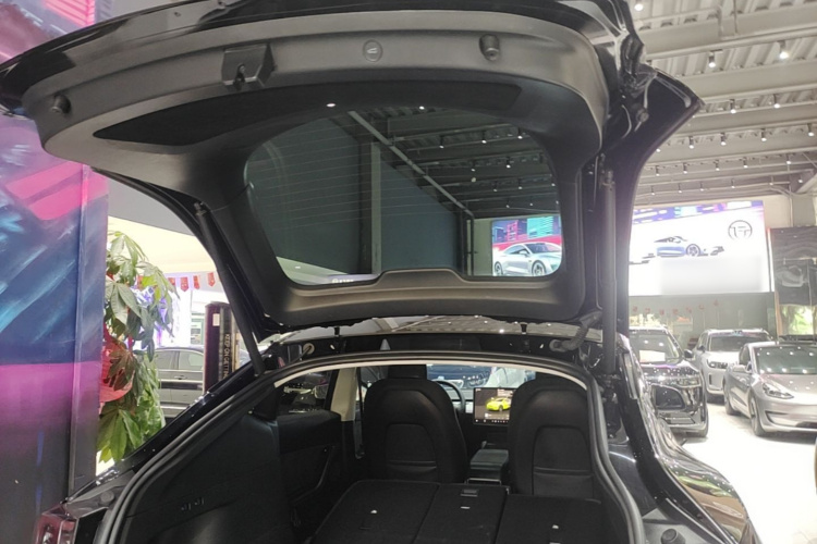 Tesla Model Y 2023 #19 Tesla Model Y 2023 car image #19