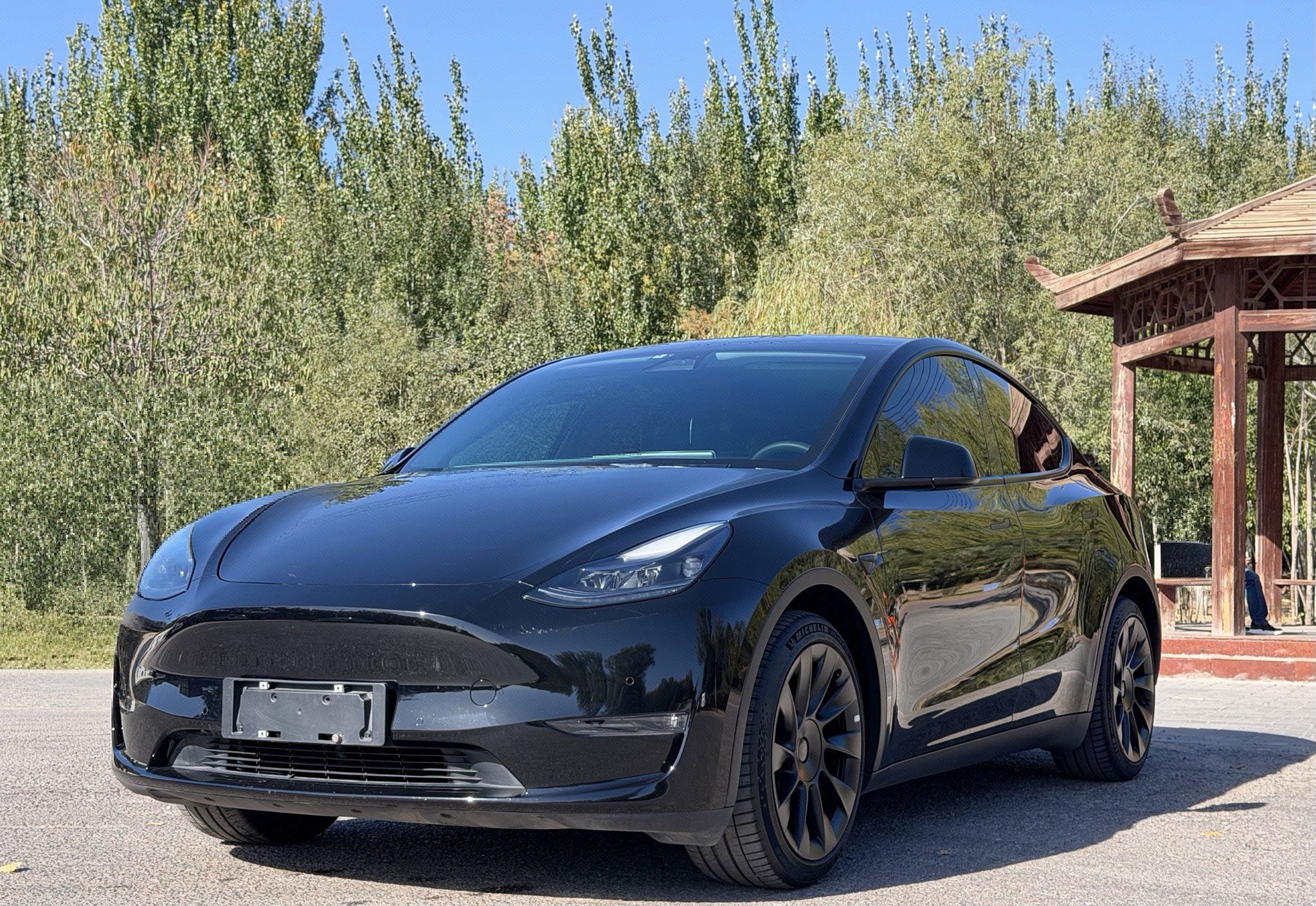 Tesla Model Y 2021 car image 