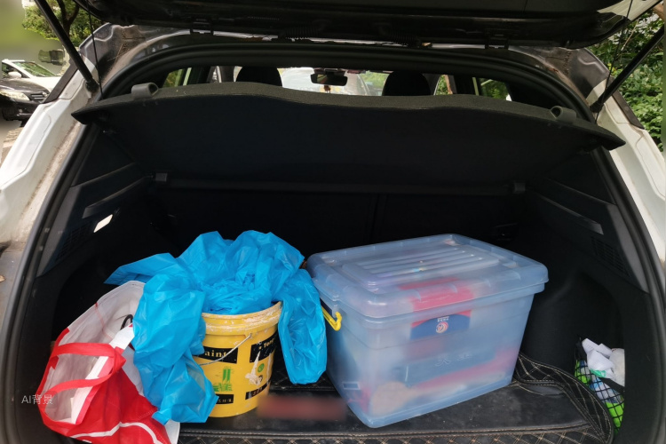 GEELY Coolray 2019 car image #21
