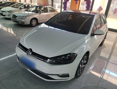 Volkswagen Golf 2019 Volkswagen Golf 2019 car image