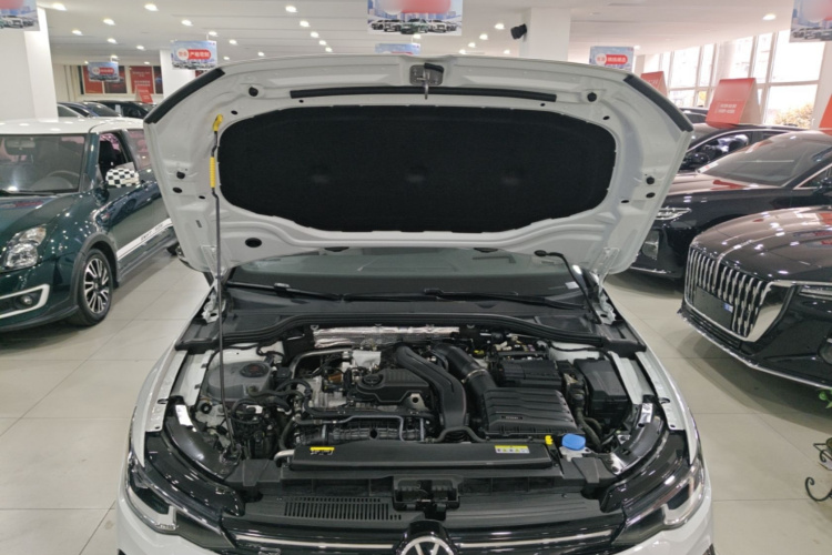 Volkswagen Golf 2024 car image #22
