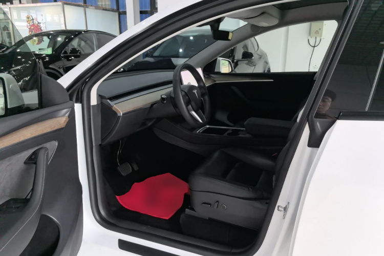 Tesla Model Y 2021 car image #16