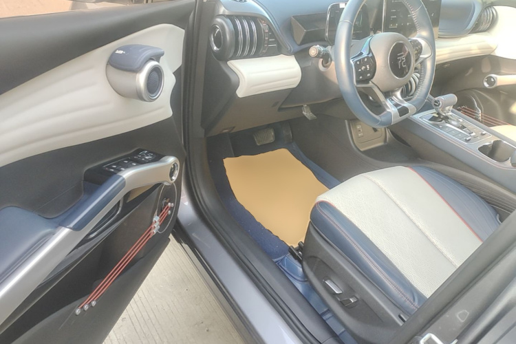 BYD Yuan Plus 2023 car image #16