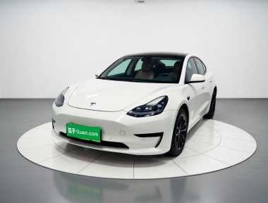 Tesla Model 3 2022 Tesla Model 3 2022 car image