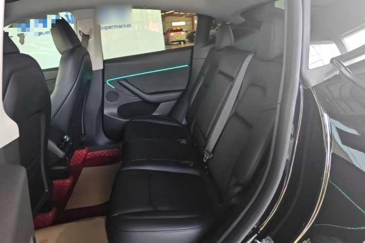 Tesla Model Y 2023 car image #17
