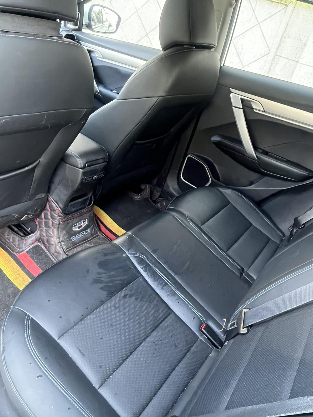 GEELY Coolray New Energy 2021 car image #7