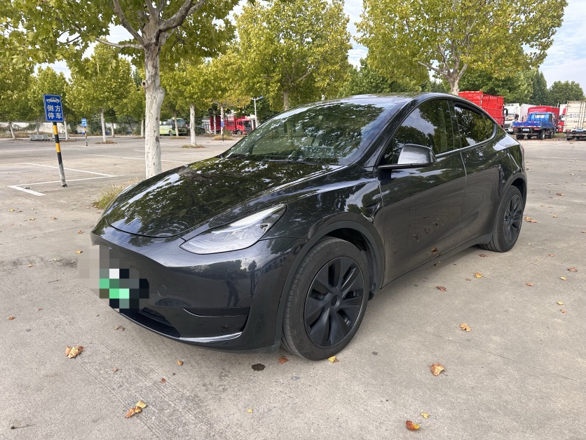 Tesla Model Y 2024 image de voiture 
