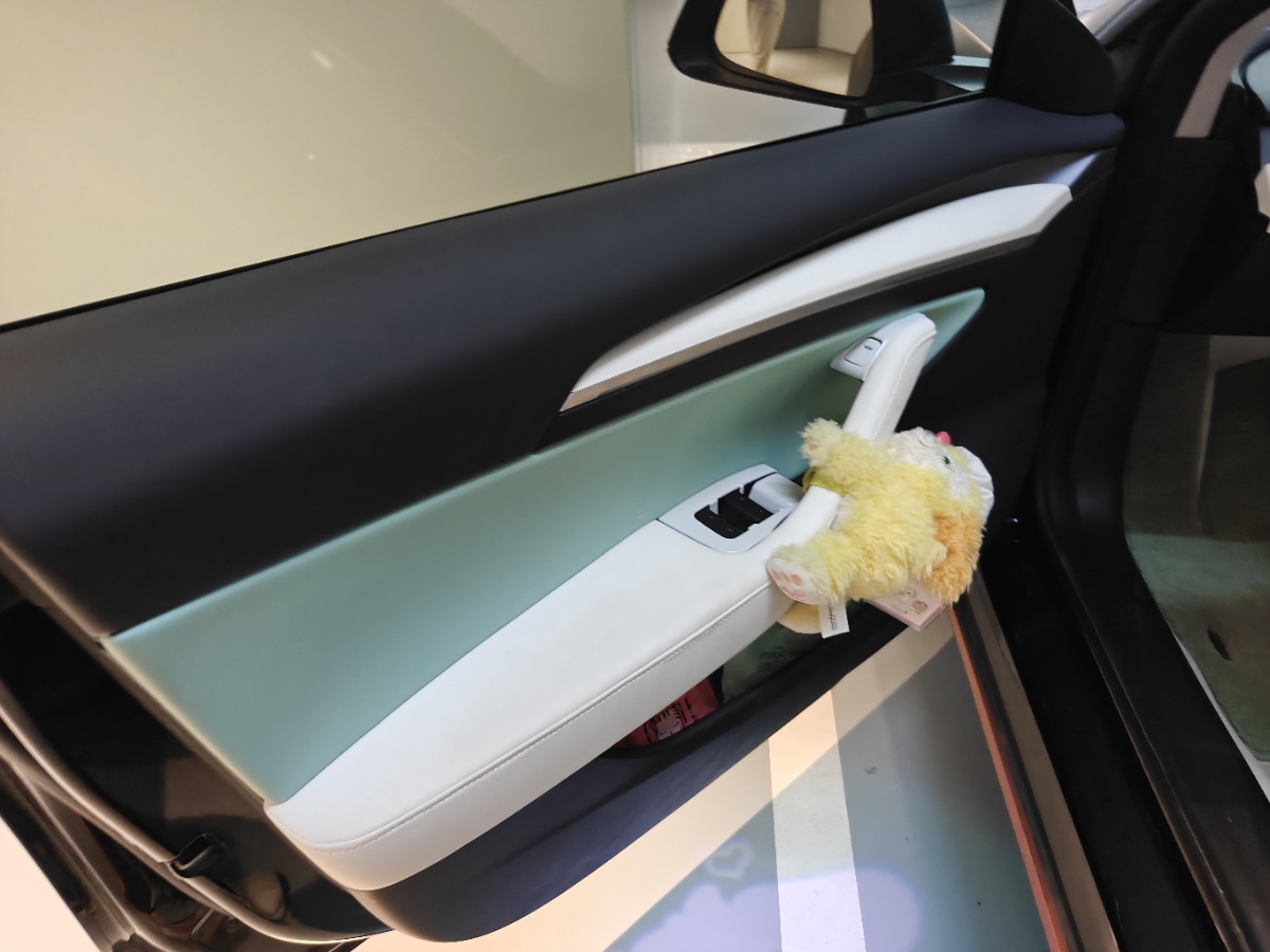 Tesla Model 3 2021 car image #4