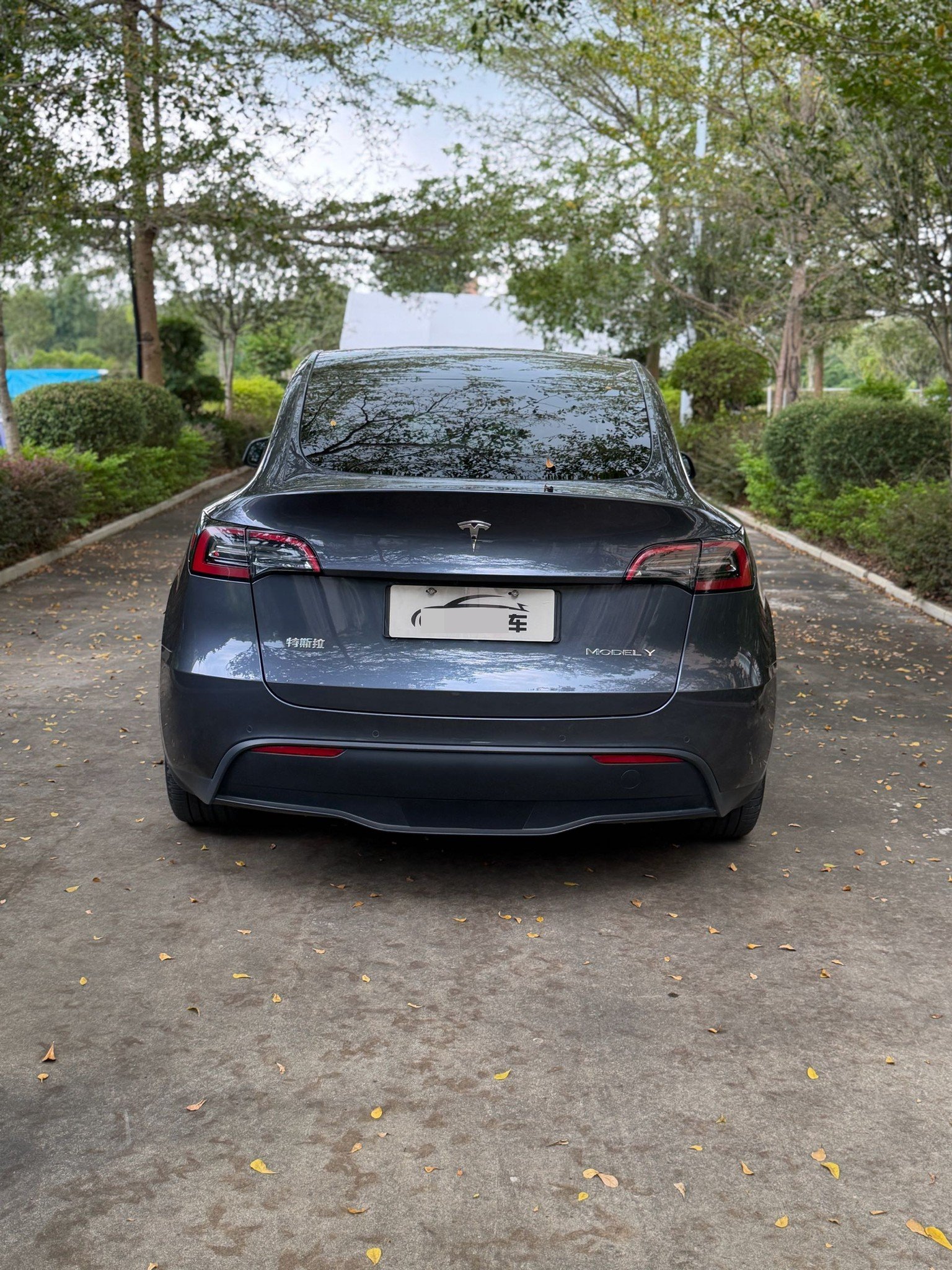 Tesla Model Y 2022 car image #7