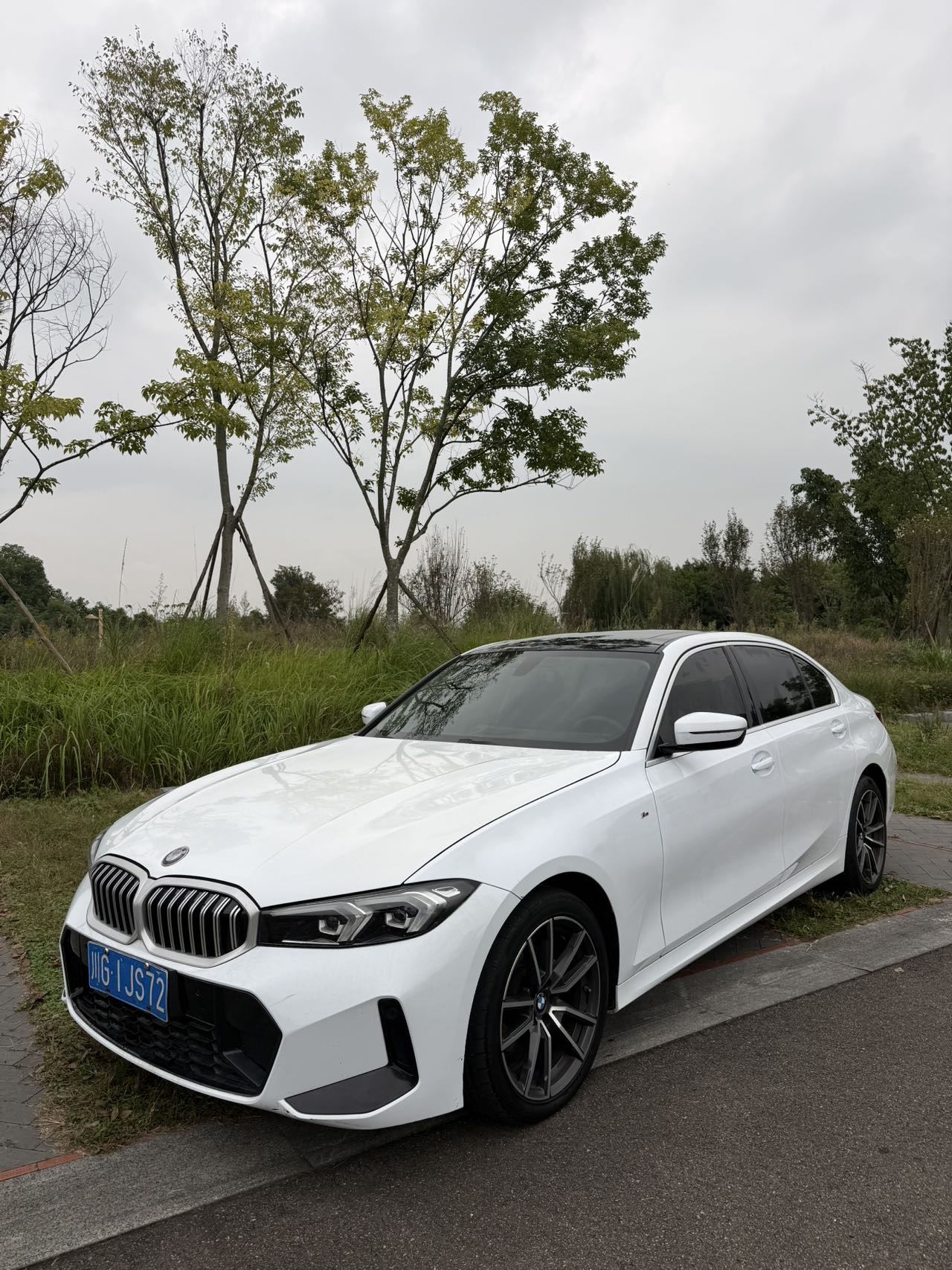 BMW 3 Series 2023 BMW 3 Series 2023 car image