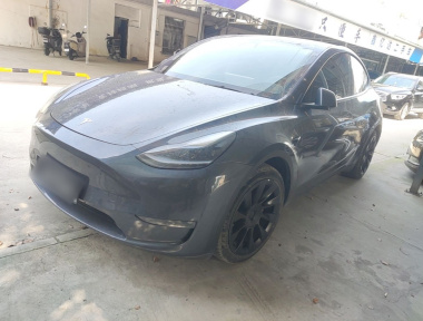 Tesla Model Y 2021 Tesla Model Y 2021 car image