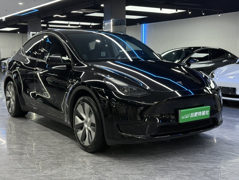 Tesla Model Y 2022 car image 