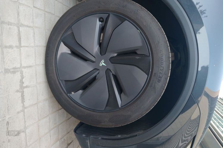 Tesla Model Y 2025 #9 Tesla Model Y 2025 car image #9