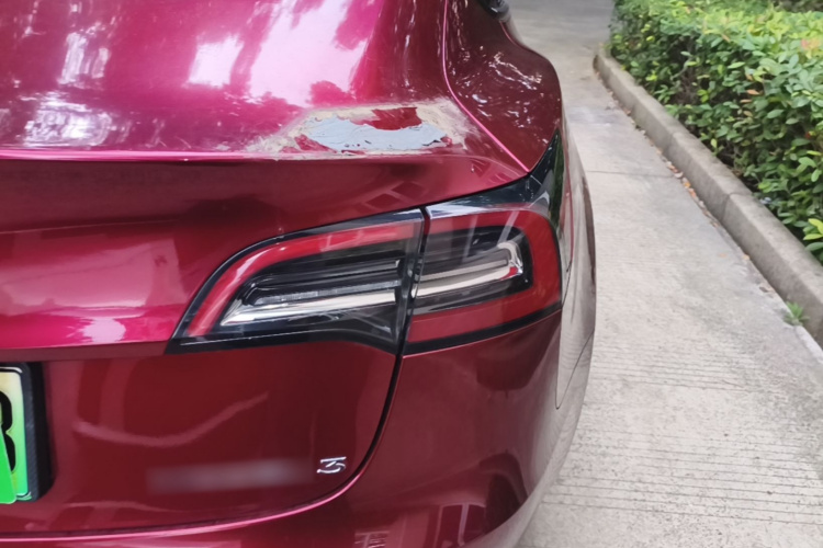 Tesla Model 3 2021 #8 Tesla Model 3 2021 car image #8