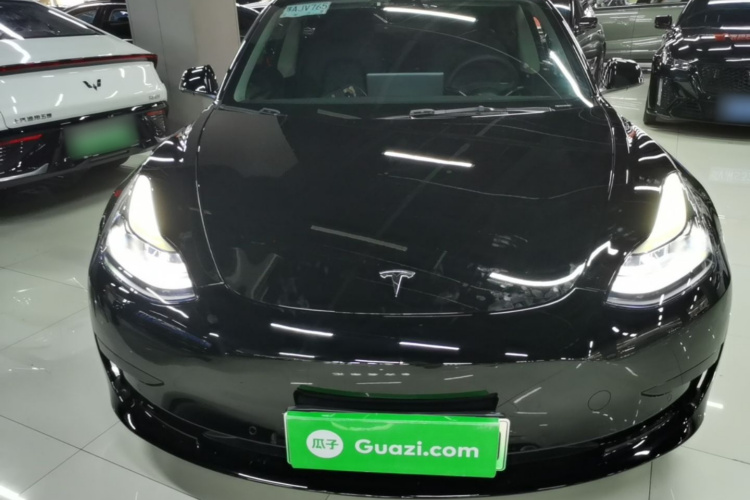 Tesla Model 3 2021 #3 Tesla Model 3 2021 car image #3