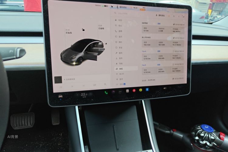 Tesla Model 3 2020 car image #15
