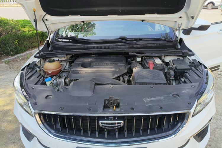 GEELY Emgrand S 2021 car image #20