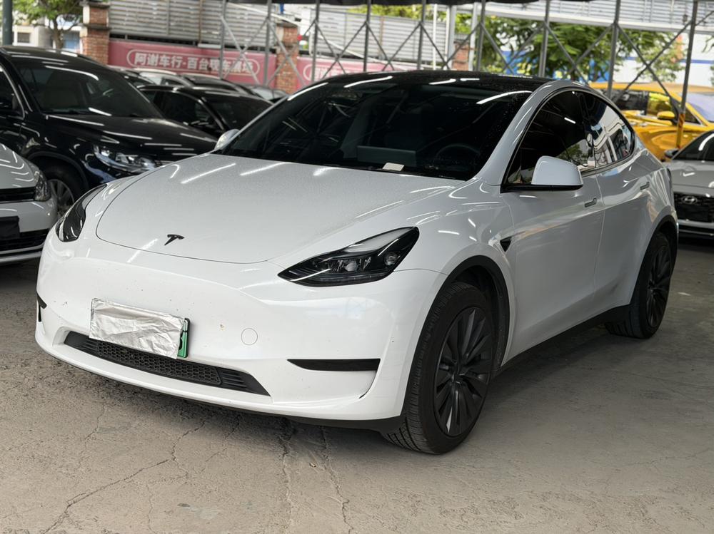 Tesla Model Y 2024 car image 