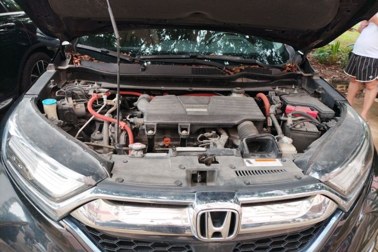 Honda CR-V 2019 #22 Honda CR-V 2019 car image #22