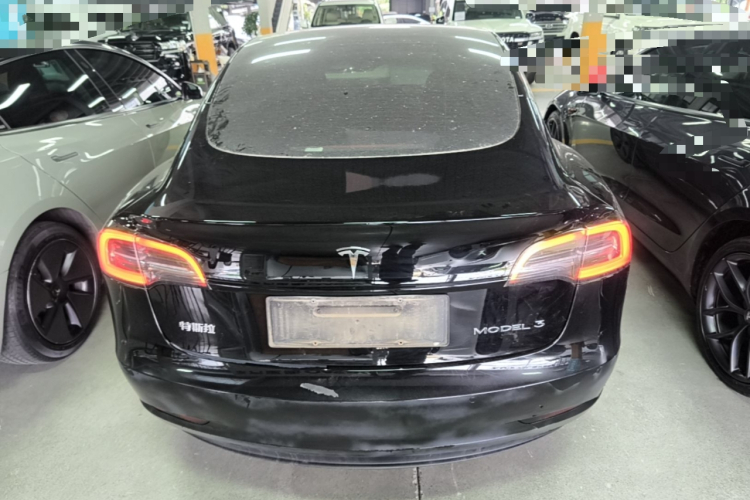 Tesla Model 3 2023 #6 Tesla Model 3 2023 car image #6