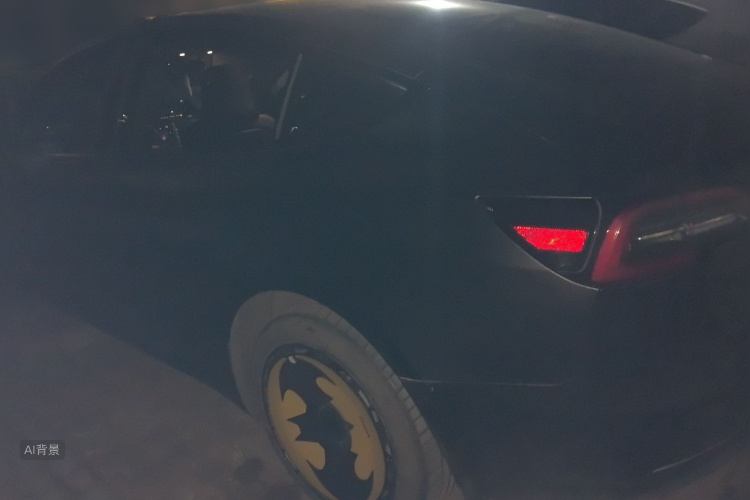 Tesla Model 3 2021 imagem de carro #5