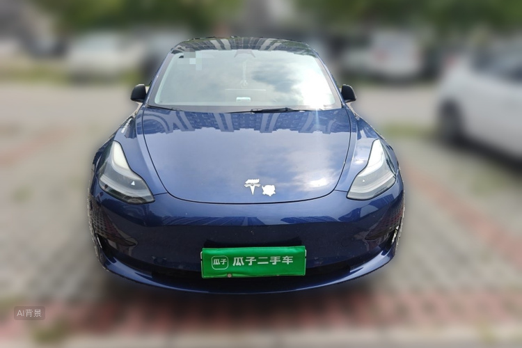 Tesla Model 3 2021 car image #3