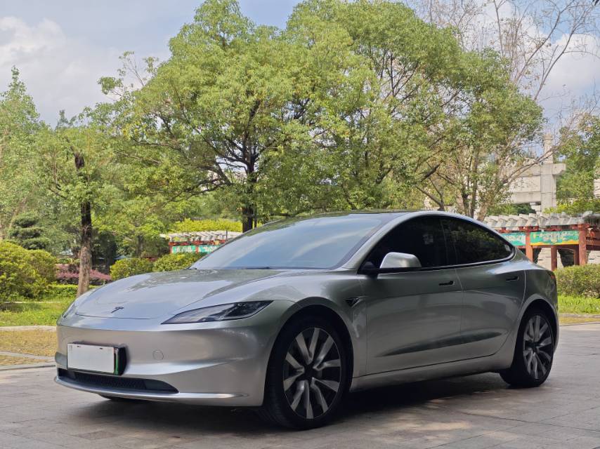 Tesla Model 3 2025 car image 