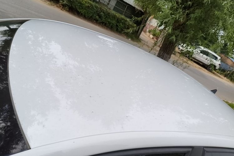 Volkswagen Santana 2019 car image #25