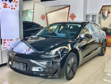 Tesla Model 3 2021 Tesla Model 3 2021 car image