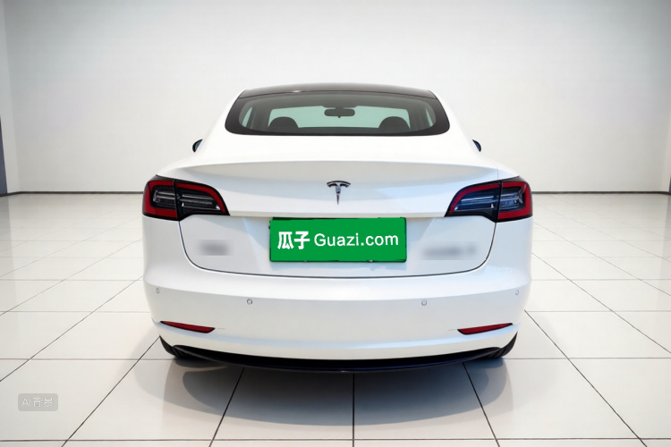 Tesla Model 3 2022 car image #6