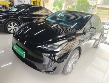 Tesla Model Y 2023 car image 