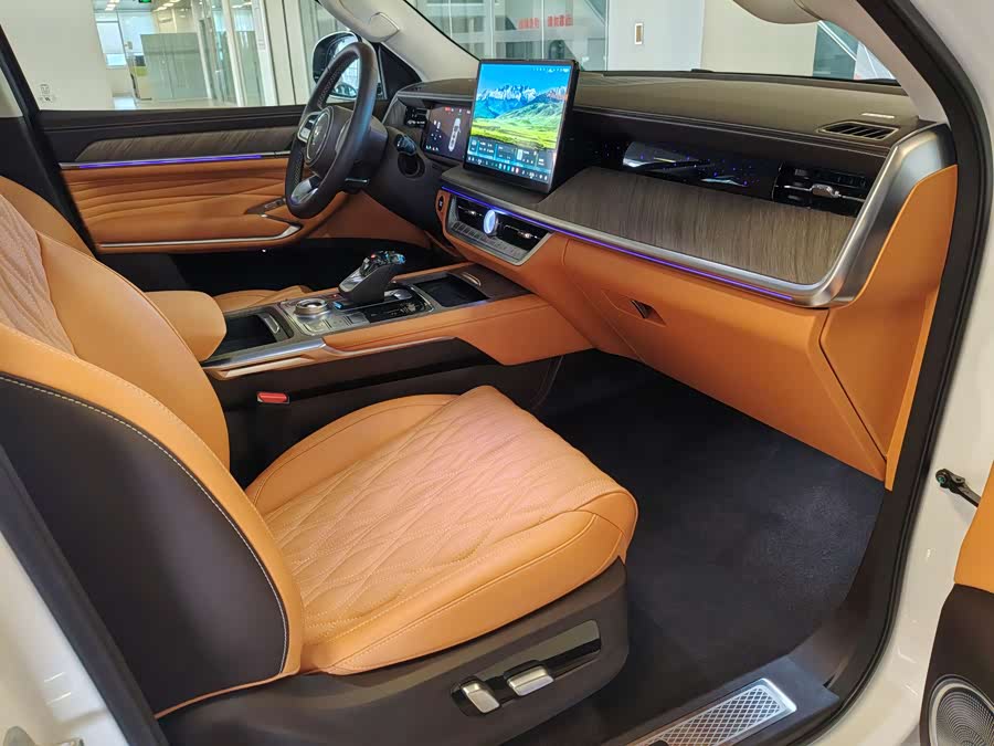 Tank 500 New Energy 2024 immagine di auto #35