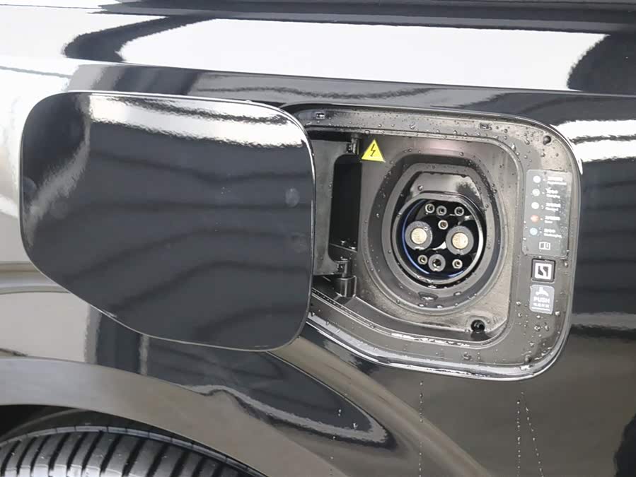 极氪 极氪009 2024 汽车图片 #35