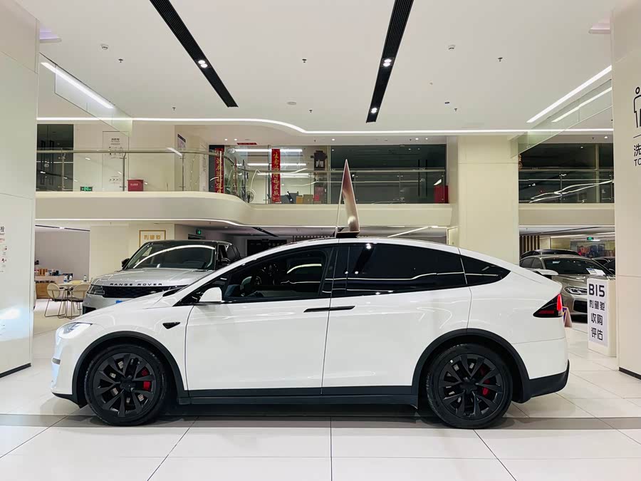 Tesla Model X 2023 car image #35