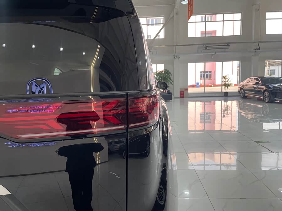 Denza D9 2025 imagen de coche #35