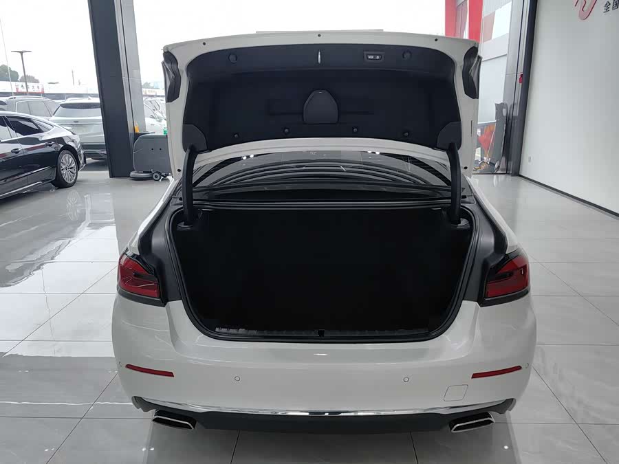 BMW 5 Series 2021 car image #35