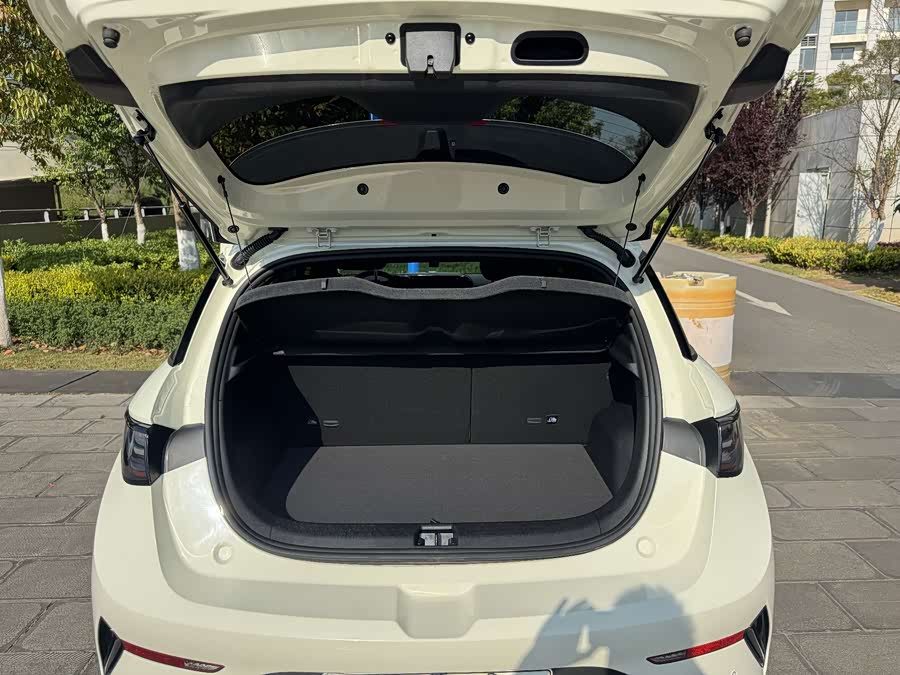 BYD Dolphin 2025 صورة سيارة #35