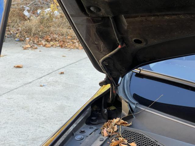 BYD S7 2015 car image #35