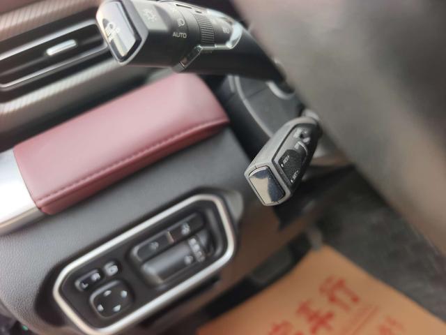 Great Wall Poer 2024 car image #35