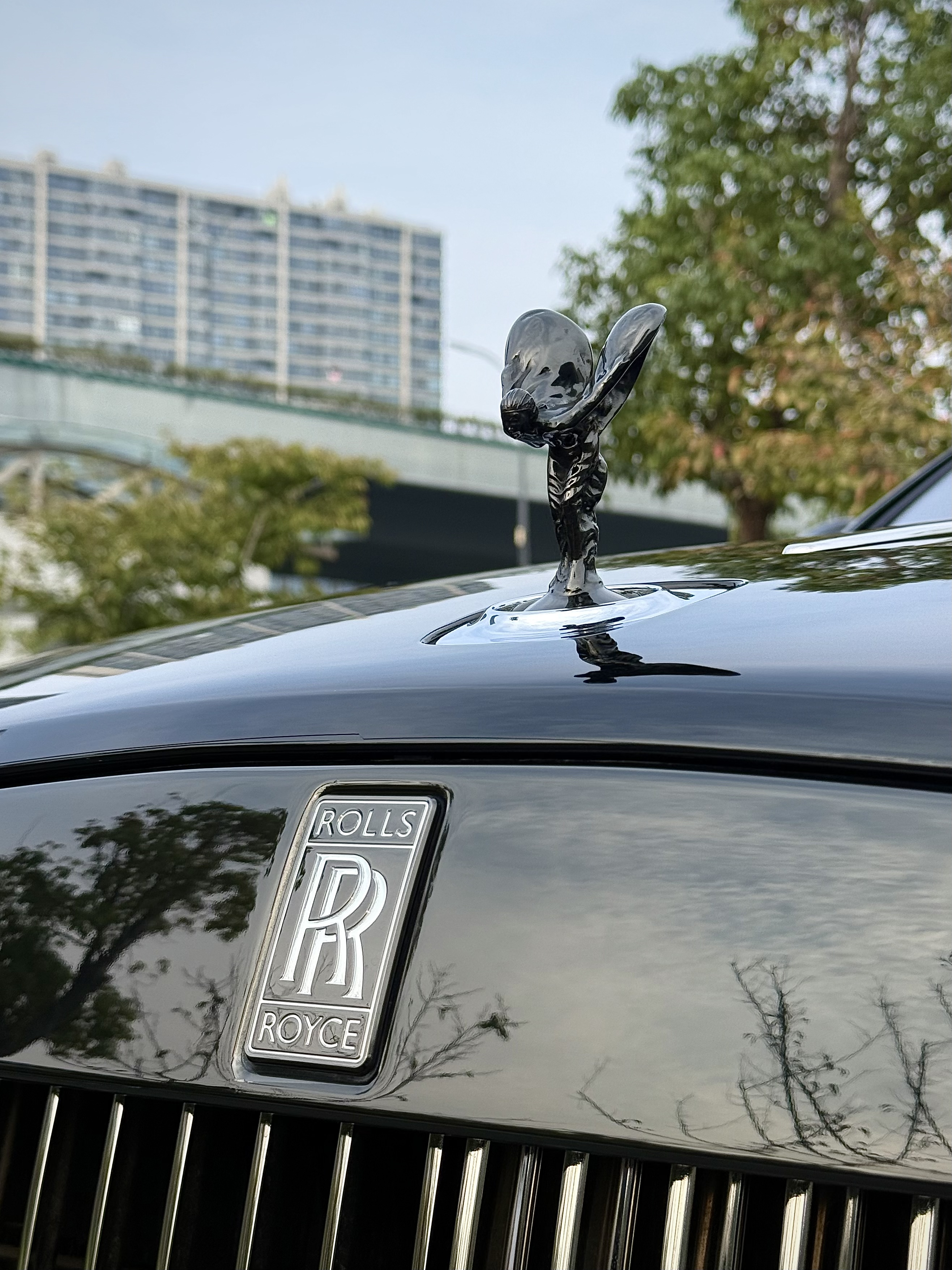 劳斯莱斯 魅影 2022 汽车图片 #35