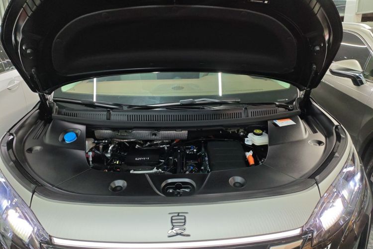 BYD Xia 2024 immagine di auto #35